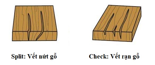 Hình ảnh phân biệt vết nứt gỗ và vết rạn gỗ. (Ảnh từ Internet)