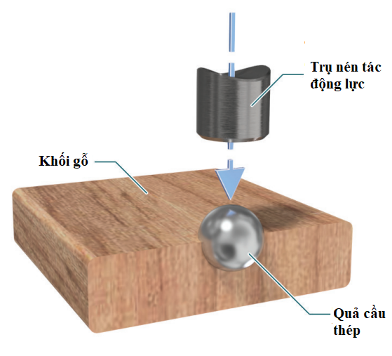 Cách kiểm tra độ cứng của gỗ. (Ảnh từ Internet)