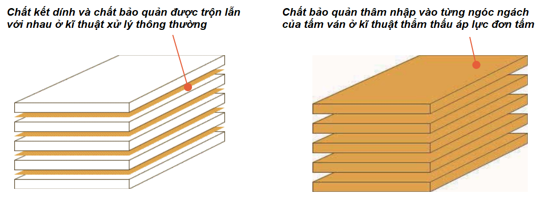 Sự khác biệt khi xử lý chống mối mọt, chống mục ruỗng cho gỗ bằng kĩ thuật thông thường và kĩ thuật thẩm thấu áp lực đơn tấm.