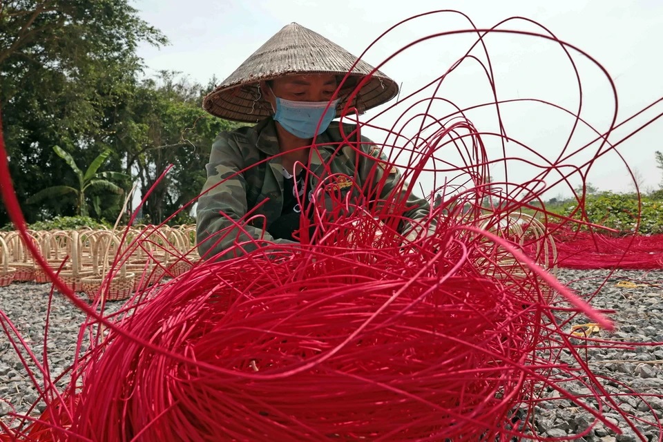 Người thợ ở làng nghề Phú Túc nhuộm màu cho cỏ tế để đáp ứng nhu cầu của khách hàng. (Ảnh từ Internet)