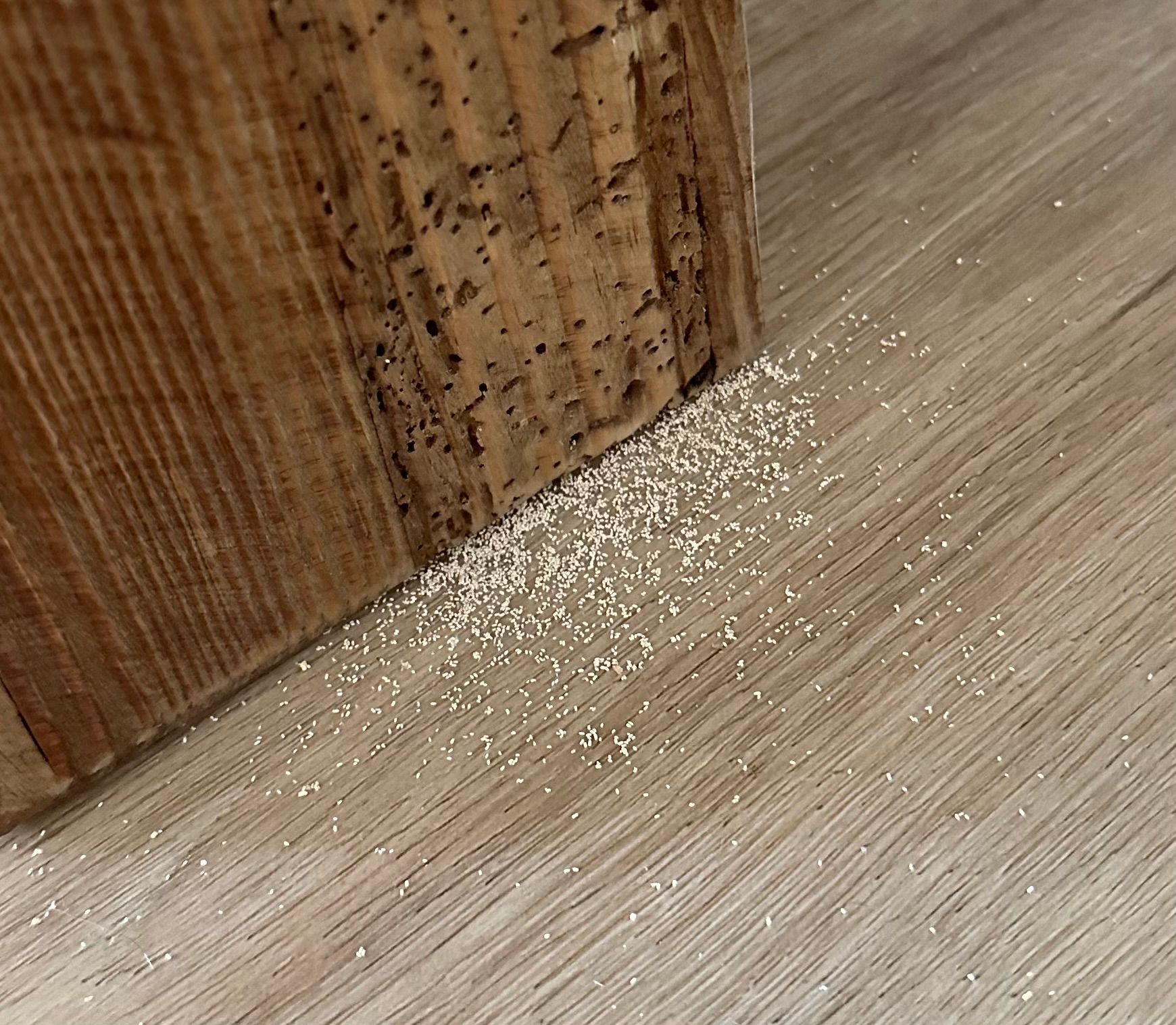 Mọt gỗ gây ảnh hưởng tới chất lượng, tính thẩm mĩ của đồ gỗ. (Ảnh từ Internet)