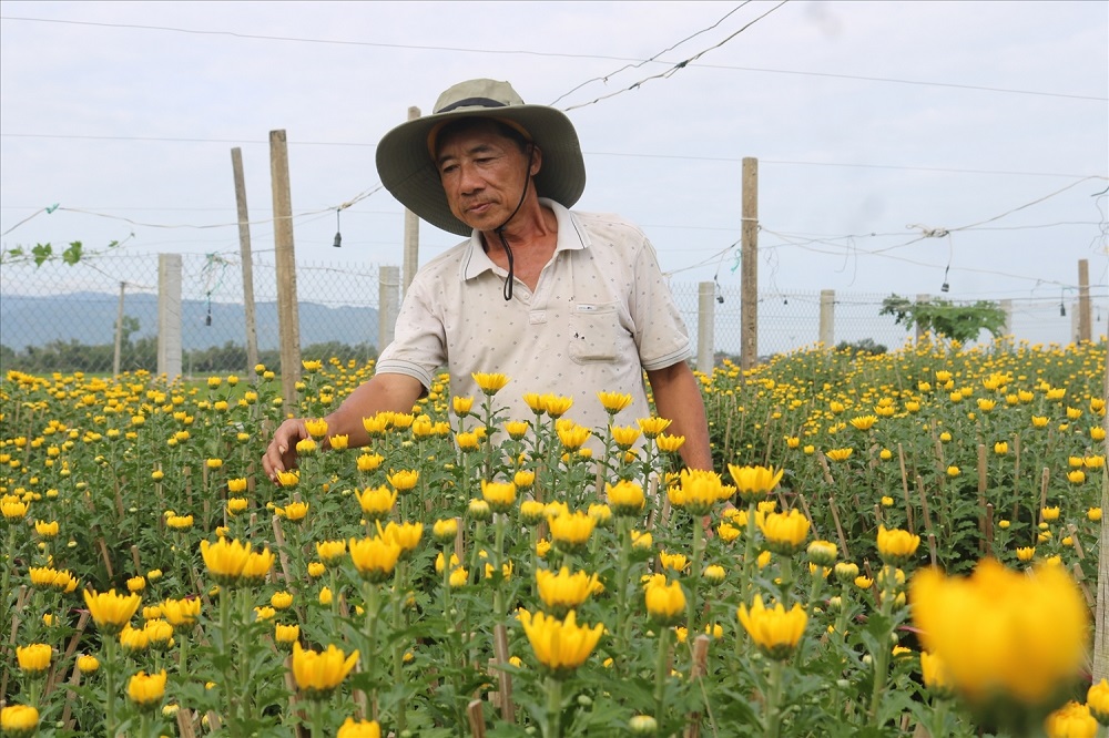 Làng hoa kiểng Bình Lâm